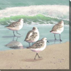 West of the Wind 24x24 Outdoor Art Piper Family