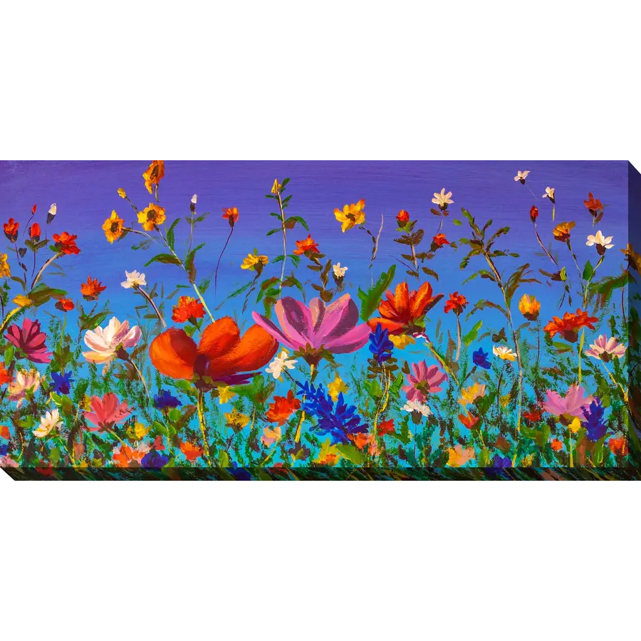 48x24 Outdoor Art Summer Recital