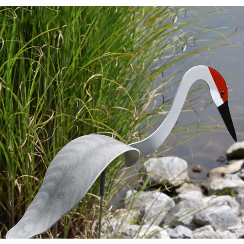  Florida Dancing Birds Sandhill Crane 