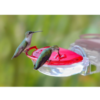Aspects Gem Hummingbird Window Feeder