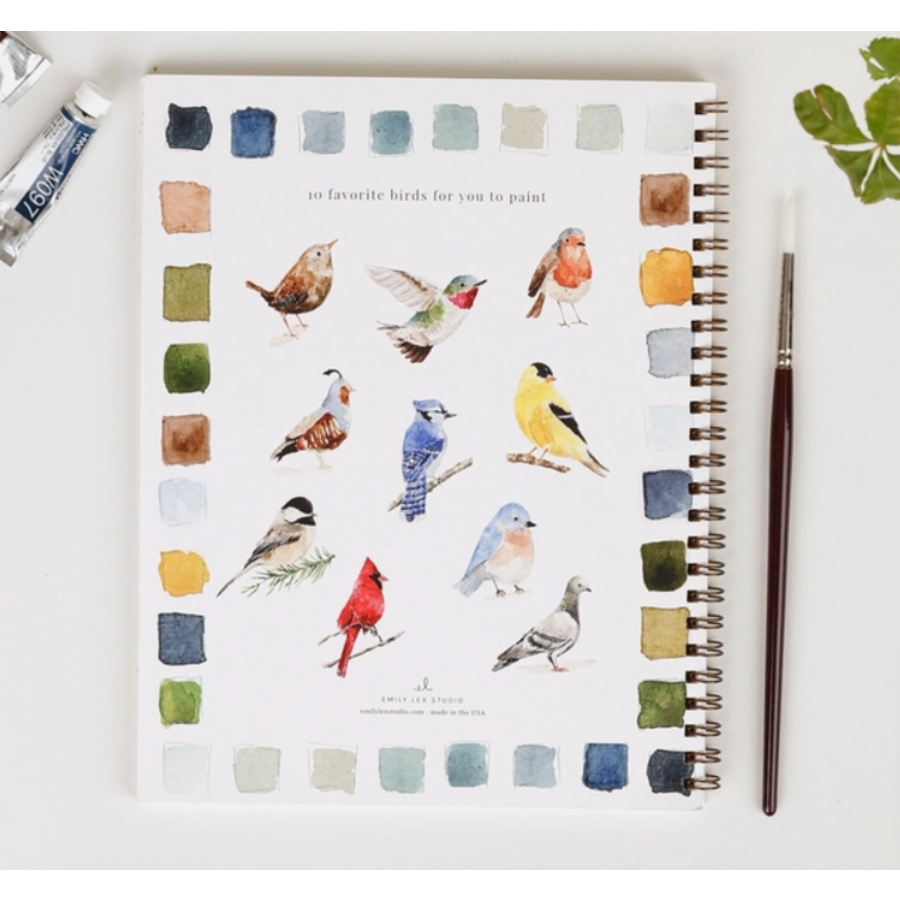 Birds Watercolor Workbook