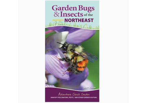  AdventureKEEN Garden Bugs & Insects of Northeast Quick Guide 