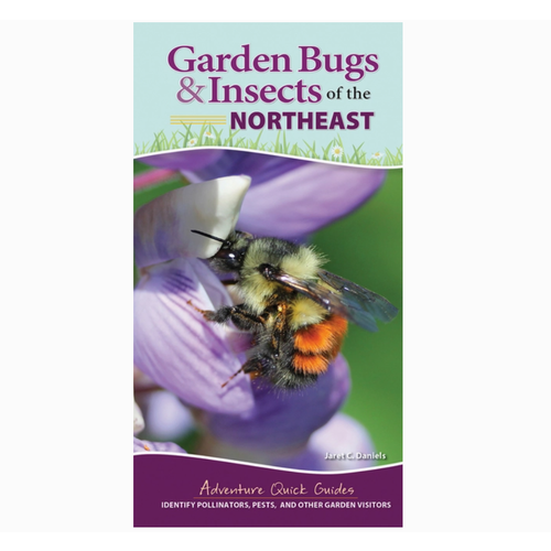  AdventureKEEN Garden Bugs & Insects of Northeast Quick Guide 