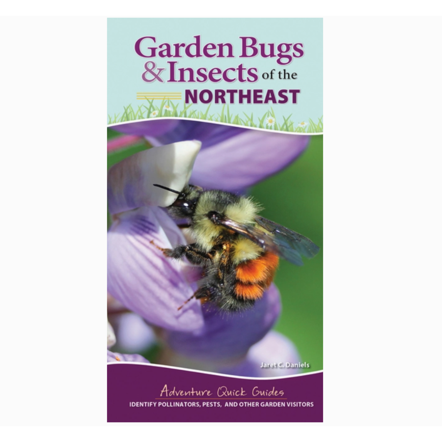 Garden Bugs & Insects of Northeast Quick Guide