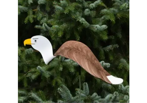  Florida Dancing Birds Bald Eagle Dancing Bird 