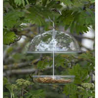 Acrylic Robin Feeder with Dome