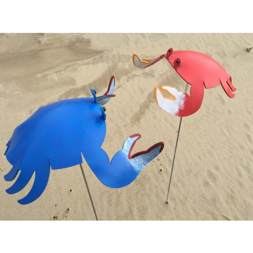  Florida Dancing Birds Dancing Lawn Crab 