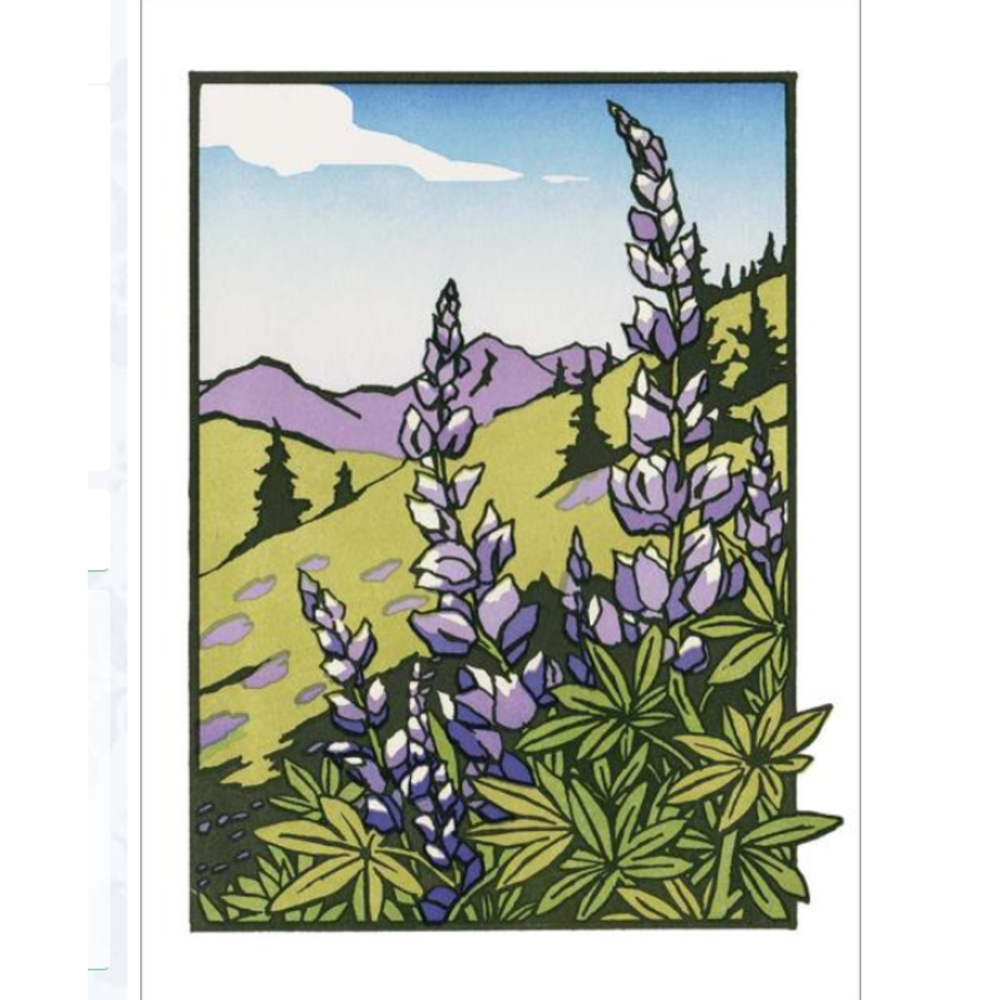 Lupines Blank Card