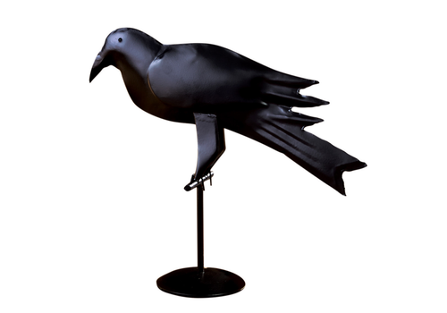  Park Designs Iron Crow 