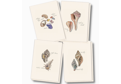  Earth sky water Seashell Assorted Boxed Note Cards 