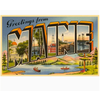 Found Image Press Greetings from Maine Vintage Image Postcard