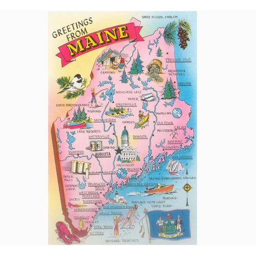  Found Image Press Greetings from Maine Map Vintage Image Postcard 