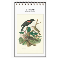 Birds Postcard Booklet