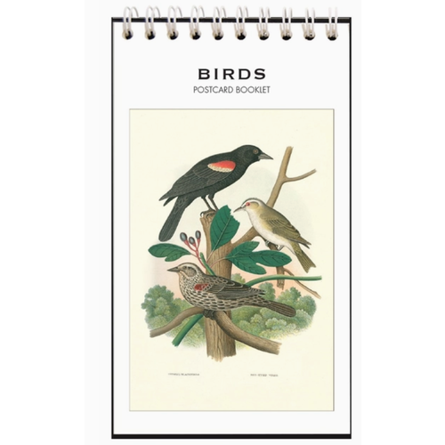 Found Image Press Birds Postcard Booklet 