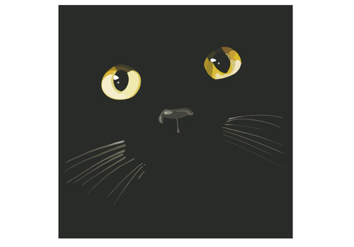  Paper Products Design Midnight Beverage Napkins 