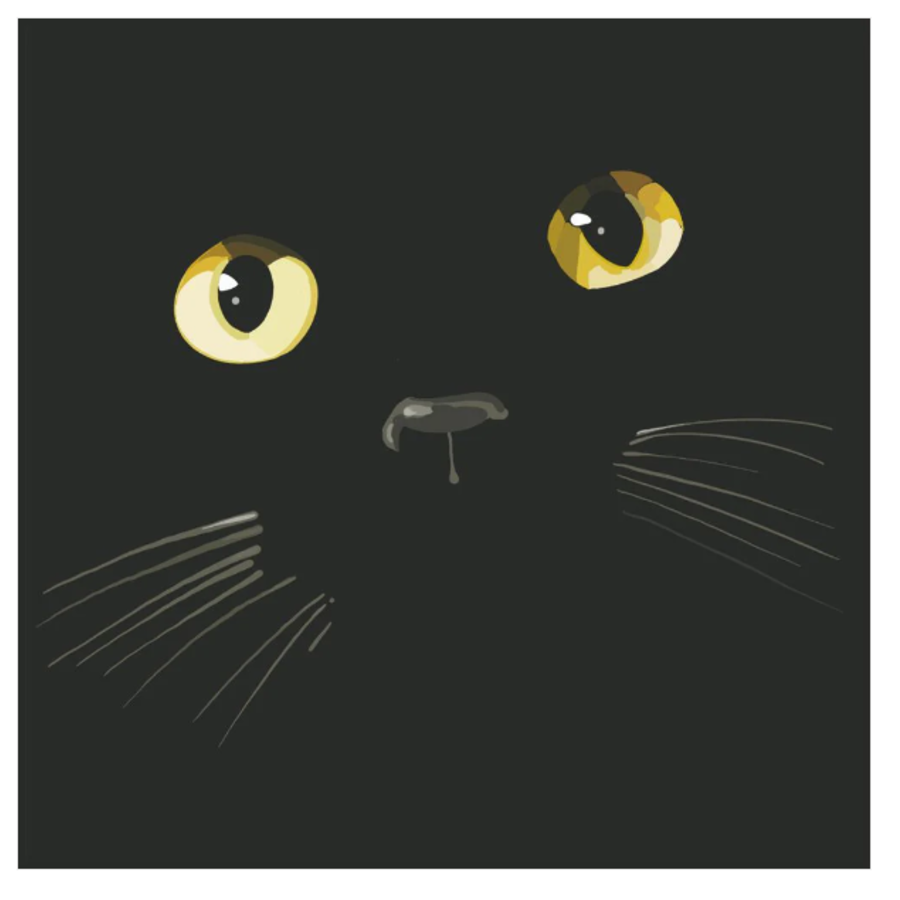 Midnight Beverage Napkins