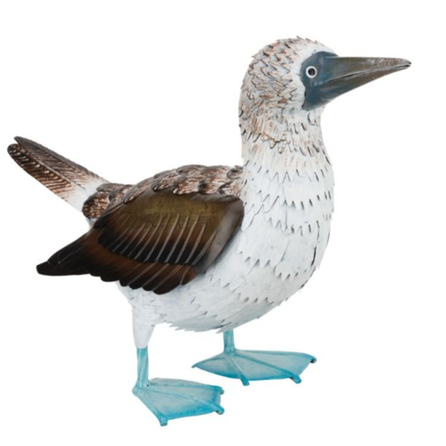  Blue Footed Booby Decor 