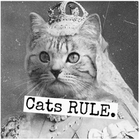 Cats Rule Magnet