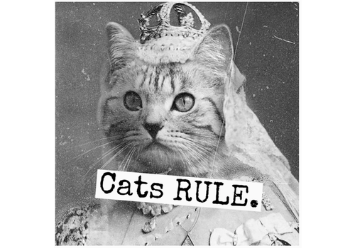  Raven's Rest Studio Cats Rule Magnet 