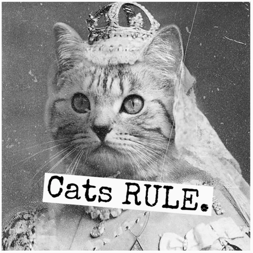  Raven's Rest Studio Cats Rule Magnet 