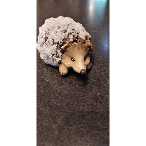  Pinecone Hedgehogs Small 