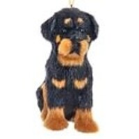 Furry Dog Orn