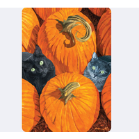 Pumpkin Cats Halloween Card