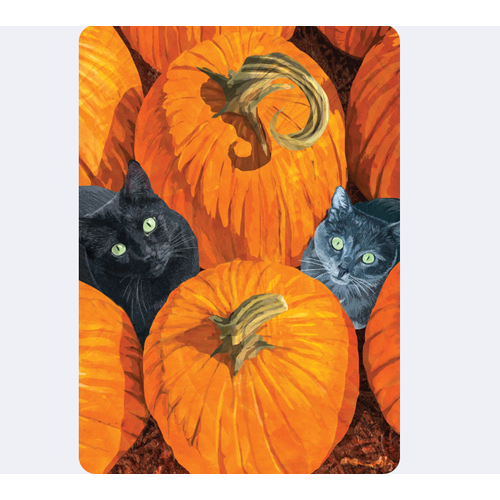 Allport Editions Pumpkin Cats Halloween Card   Allport Editions Pumpkin Cats Halloween Card