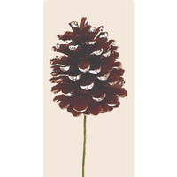 5" White Tip Pine Cone Pick