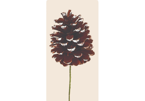  Worth Imports 5" White Tip Pine Cone Pick 