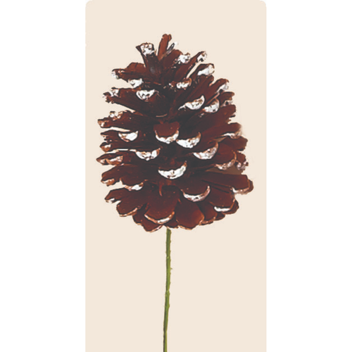  Worth Imports 5" White Tip Pine Cone Pick 