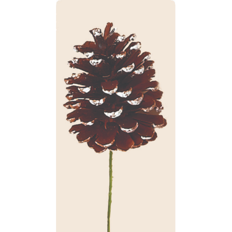 5" White Tip Pine Cone Pick