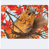 Allport Editions Squirrel Surprise Thanksgiving Card