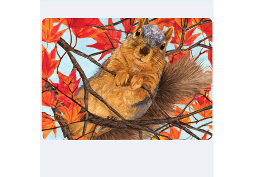  Allport Editions Squirrel Surprise Thanksgiving Card 