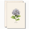 Earth sky water Hydrangea Boxed Note Cards