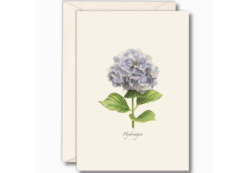 Earth sky water Hydrangea Boxed Note Cards   Earth sky water Hydrangea Boxed Note Cards