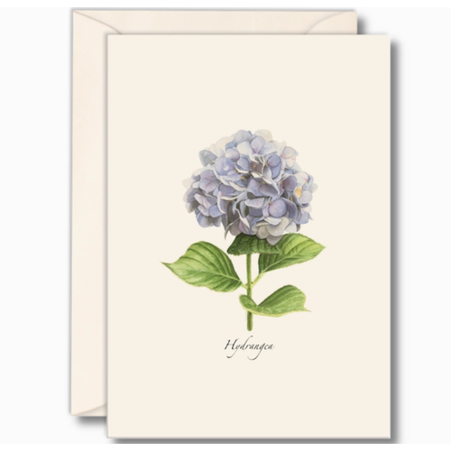  Earth sky water Hydrangea Boxed Note Cards 