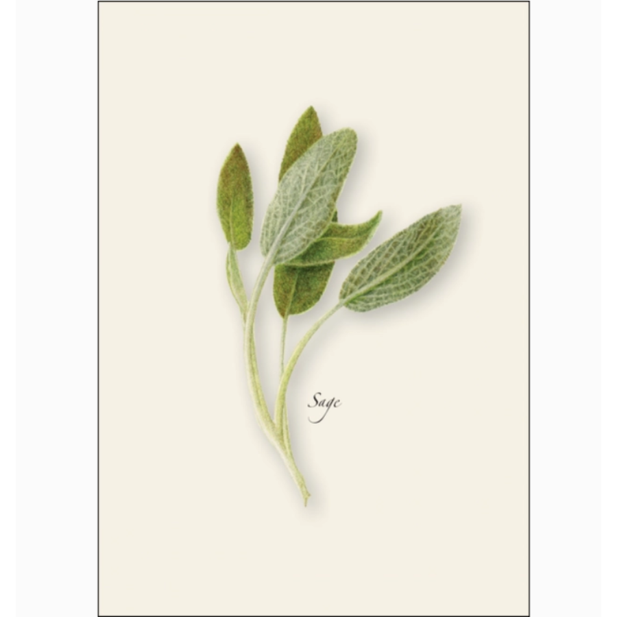 Herb Assorted Boxed Note Cards