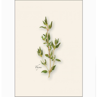 Herb Assorted Boxed Note Cards
