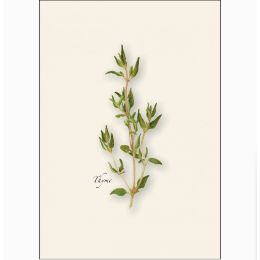 Herb Assorted Boxed Note Cards