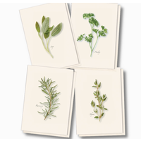 Herb Assorted Boxed Note Cards