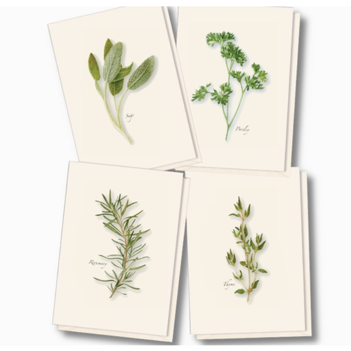 Earth sky water Herb Assorted Boxed Note Cards   Earth sky water Herb Assorted Boxed Note Cards