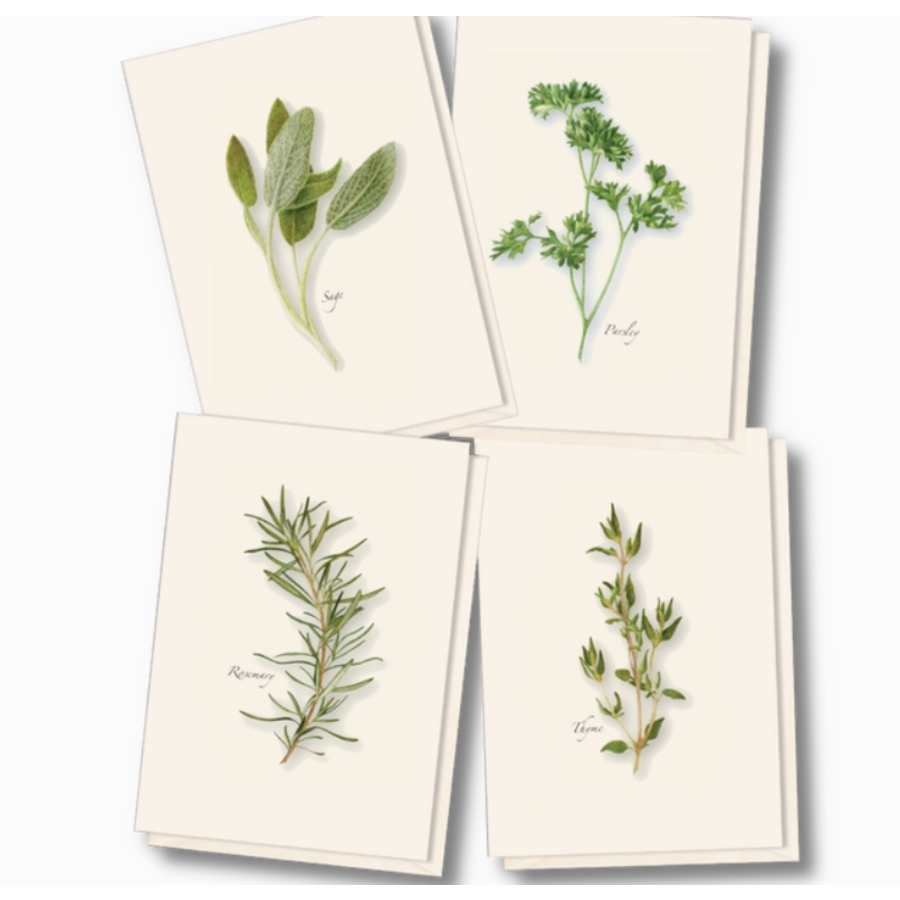 Herb Assorted Boxed Note Cards