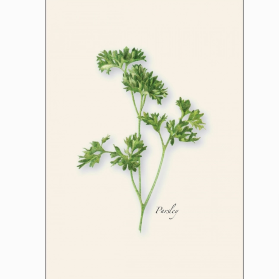 Herb Assorted Boxed Note Cards