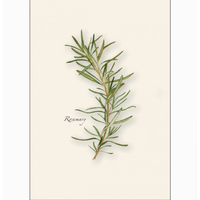 Herb Assorted Boxed Note Cards