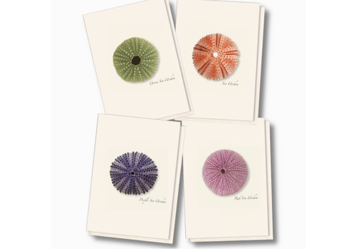  Earth sky water Sea Urchin Assorted Boxed Cards 