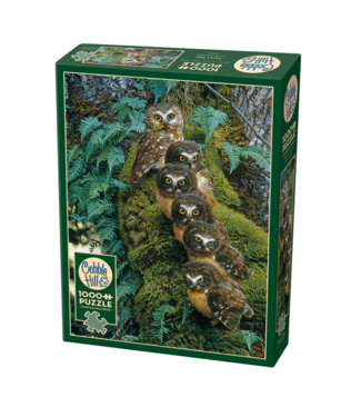 Outset Games & Cobble Hill Puzzles Family Tree Puzzle 1000 PC