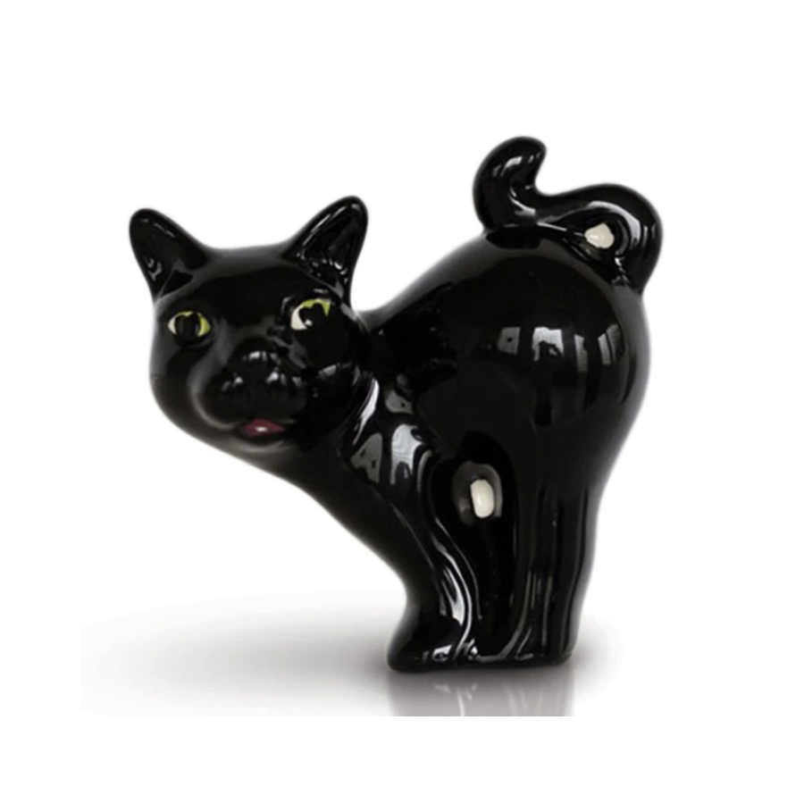 Black Cat Mini