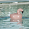 Creative Co-Op Stoneware Pool Float