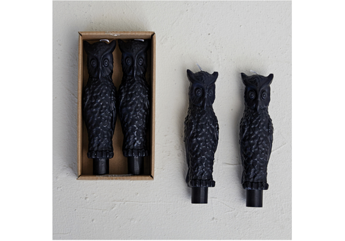  Creative Co-Op 6" Owl Taper Candles in Box Set of 2 